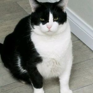 Meet your Posher, Norma